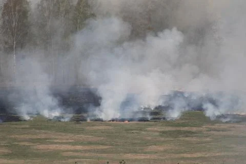 Fire burning in Dry grass field. Stock Photos