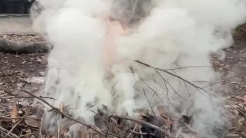 Fire burning dry grass it danger for environment Stock Footage 304929008