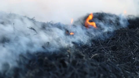 Fire is burning dry grass at spring time. Nature burns, bushes, tree branches Stock-Footage 128516825
