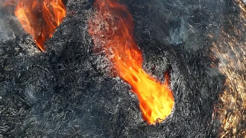 Fire is burning dry grass at spring time. Nature burns, bushes, tree branches Stock-Footage 128516990