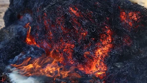 Fire is burning dry grass at spring time. Nature burns, bushes, tree branches Stock-Footage 128517304