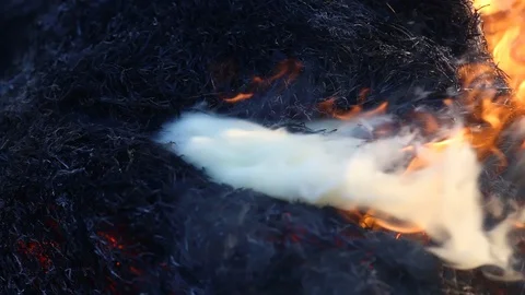 Fire is burning dry grass at spring time. Nature burns, bushes, tree branches Stock-Footage 128517461