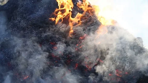 Fire is burning dry grass at spring time. Nature burns, bushes, tree branches Stock-Footage 128517564