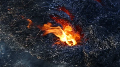 Fire is burning dry grass at spring time. Nature burns, bushes, tree branches Stock-Footage 128517685