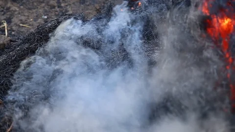 Fire is burning dry grass at spring time. Nature burns, bushes, tree branches Видео 128517799