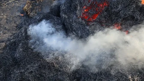 Fire is burning dry grass at spring time. Nature burns, bushes, tree branches Stock Footage 128517881