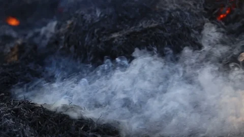 Fire is burning dry grass at spring time. Nature burns, bushes, tree branches Видео 128517979