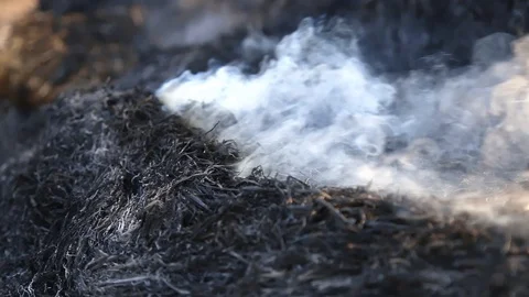 Fire is burning dry grass at spring time. Nature burns, bushes, tree branches Видео 128518079