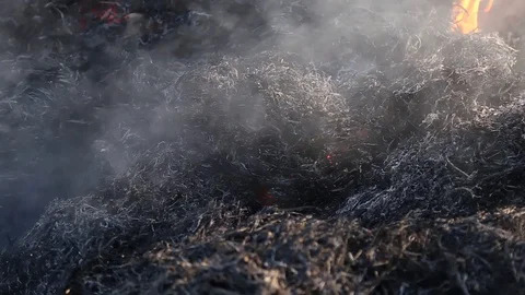 Fire is burning dry grass at spring time. Nature burns, bushes, tree branches Stock-Footage 128518252