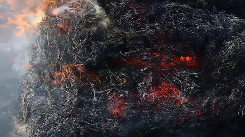 Fire is burning dry grass at spring time. Nature burns, bushes, tree branches Stock-Footage 128518498