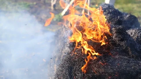 Fire is burning dry grass at spring time. Nature burns, bushes, tree branches Stock-Footage 128518580