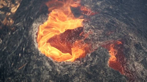 Fire is burning dry grass at spring time. Nature burns, bushes, tree branches Видео 128518631