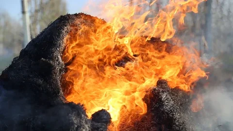 Fire is burning dry grass at spring time. Nature burns, bushes, tree branches Видео 128518974