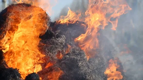 Fire is burning dry grass at spring time. Nature burns, bushes, tree branches Видео 128519059