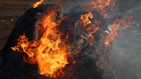 Fire is burning dry grass at spring time. Nature burns, bushes, tree branches Видео 128519317