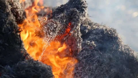Fire is burning dry grass at spring time. Nature burns, bushes, tree branches Видео 128519450