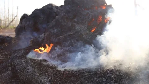 Fire is burning dry grass at spring time. Nature burns, bushes, tree branches Видео 128519570