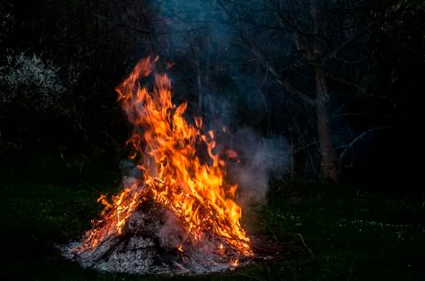 Fire from burning dry twigs Stock Photos
