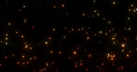 Fire burning embers ash particles Stock Footage 211018381