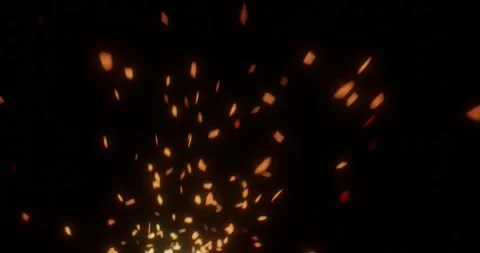 Fire burning embers ash particles Stock Footage 219479126