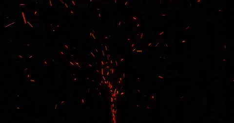 Fire burning embers ash particles Stock Footage 219479149