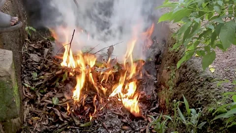 Fire burning fallen leaves garden particulate matter Stock Footage 312126539