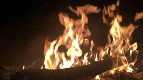 Fire burning a fallen tree Stock Footage 142871531