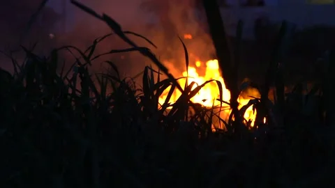 Fire burning in fields Stockbeeldmateriaal 131101376