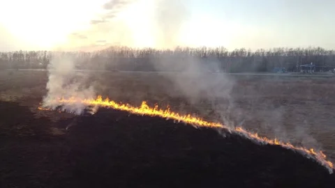 Fire, burning fields from a quadrocopter, burning grass, sunset in smoke 스톡 동영상 195459470