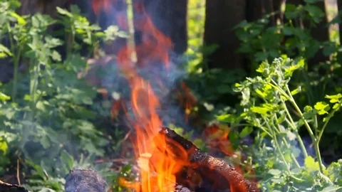 Fire. Burning. Fire. Inciting Stock Footage 75160660