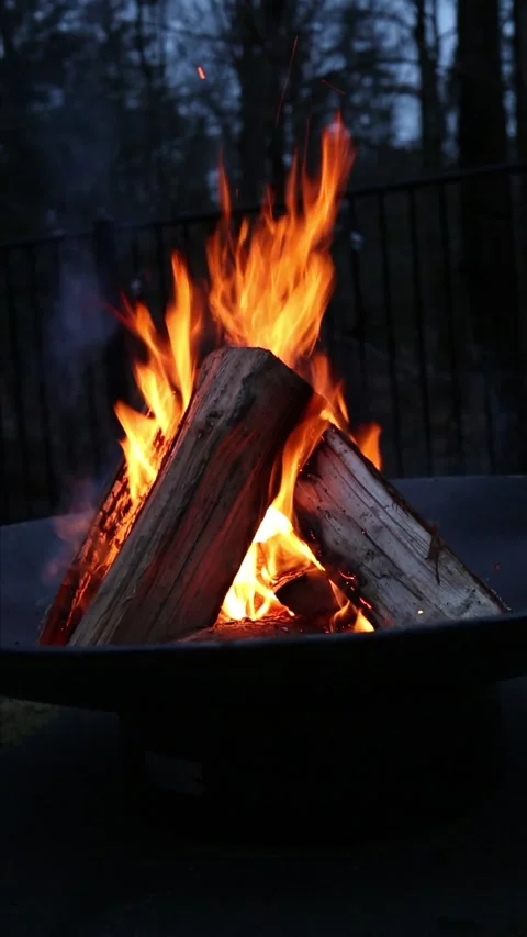 Fire burning in fire pit (wood logs ablaze with orange flames) outdoor camping Stock Footage 277001630
