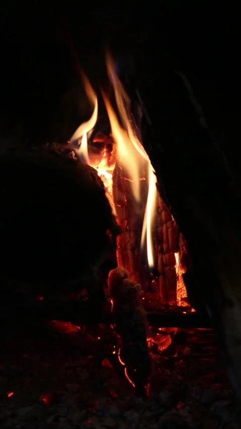 Fire burning in fire pit (wood logs ablaze with orange flames) outdoor camping Stock Footage 277080746
