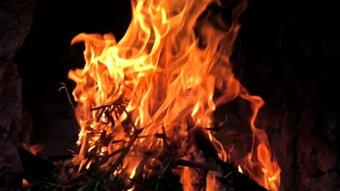 Fire burning in fireplace Stock Footage 161506747