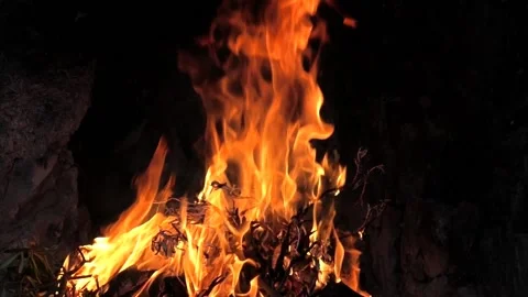Fire burning in fireplace Stock Footage 161506780