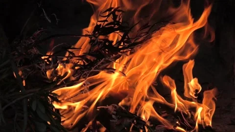 Fire burning in fireplace Stock Footage 161506825