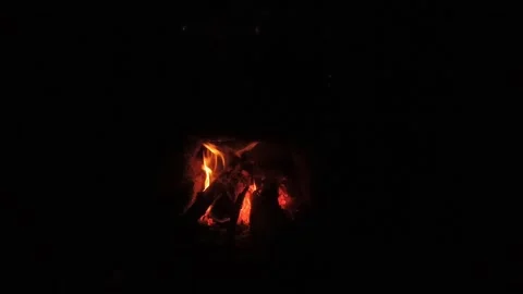 Fire burning in the fireplace Stock Footage 259391859