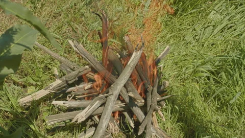 Fire is burning in the fireplace. Hearth. Warmth and home comfort. Flames of a Stock Footage 154983012