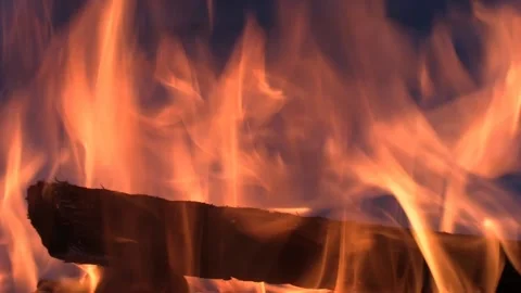 Fire. Burning firewood in the snow B. Video stock 148168902