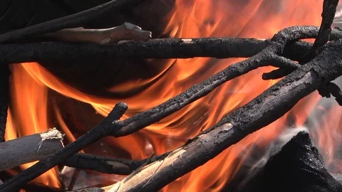 Fire burning flame Stock-Footage 103579108