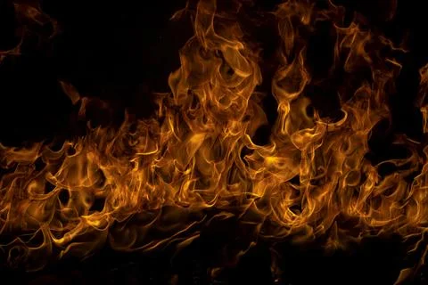 The fire, burning flame. Large burning flaming fire. Stock Photos