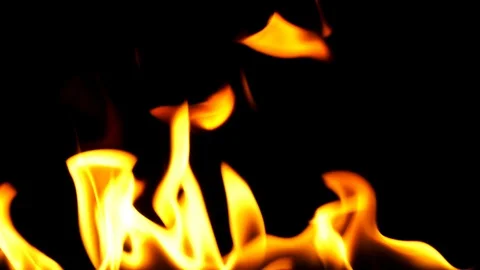 Fire Burning Flames 1 Stock Footage 115807135