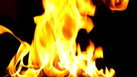 Fire Burning Flames 4 Stock Footage 115807303