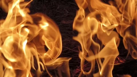 The fire is burning. Flames on a black background it is getting up. Video stock 289195639