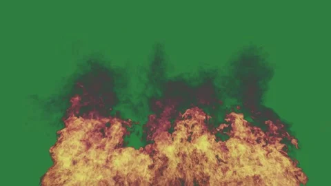 Fire on is burning flowers it isolated on green screen background Видео 336956598