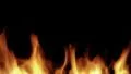 Fire burning HD Footage