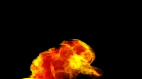 Fire burning Stock Footage 10760532