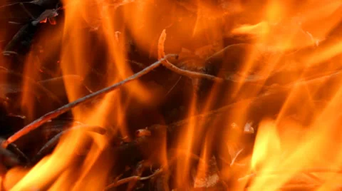 Fire burning Video stock 32510938