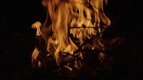 Fire burning Stock Footage 103368246