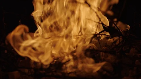 Fire burning Stock Footage 103368253
