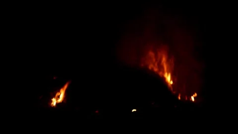 Fire is burning in the forest in the dark night Stock Footage 251697158